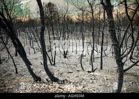 L'Italia, Abruzzo, Capestrano - 2007. Wildfire Foto Stock