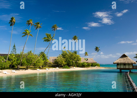 Spiaggia sabbiosa tropicale, Moorea, Polinesia Francese Foto Stock
