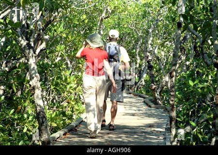 Key Largo i tasti Florida USA i visitatori su Mangrove Trail John Pennekamp State Park Foto Stock