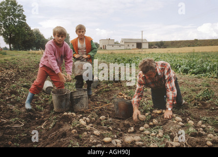 Il contadino e i suoi figli la raccolta di patate, Polonia Foto Stock