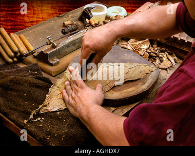 Close up di un uomo le mani di rotolamento sigari fatti a mano Foto Stock