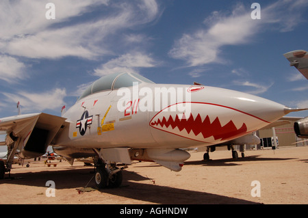 Grumman F14A Tomcat in mostra al Pima Air & Space Museum, Tucson, Arizona, Stati Uniti. Foto Stock