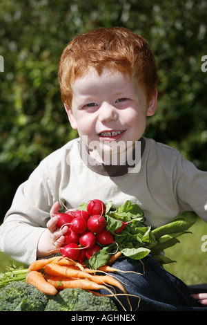 Ragazzo la raccolta di ortaggi da giardino Foto Stock