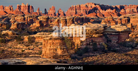 Gli aghi Canyonlands National Monument area sud dello Utah Foto Stock