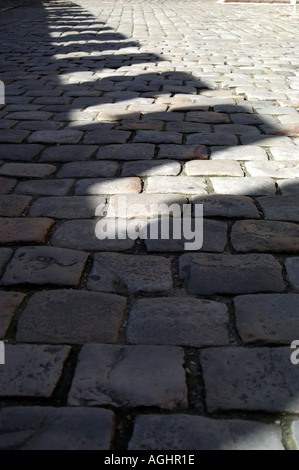 Il baluardo di ombre nel cortile del Musee National du Muyen Età Parigi Francia Foto Stock