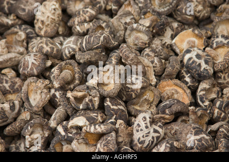 Essiccato funghi neri usati in cucina cinese Foto Stock