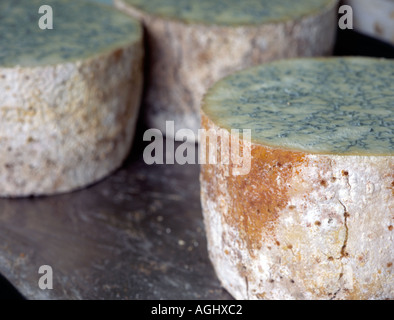 La stagionatura e blu di maturazione del formaggio Stilton memorizzati in fabbrica Foto Stock