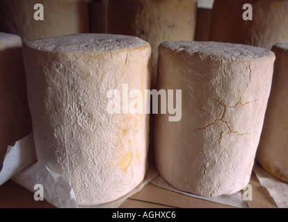 La stagionatura e blu di maturazione del formaggio Stilton memorizzati in fabbrica Foto Stock