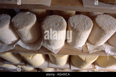 La stagionatura e blu di maturazione del formaggio Stilton memorizzati in fabbrica Foto Stock