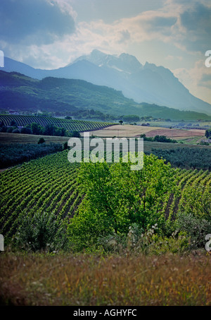 Il Gran Sasso monti si affacciano sui vigneti di queste aziende agricole nei pressi di Penne nella regione italiana Abruzzo Foto Stock