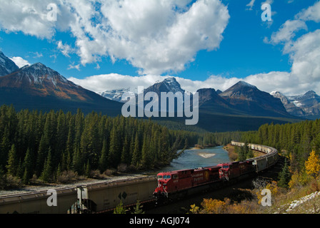 Canadian Pacific convoglio ferroviario sulla curva Morants Bow Valley Parkway Rockies Alberta Canada Foto Stock