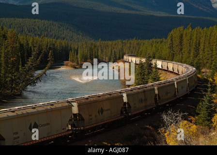 Canadian Pacific convoglio ferroviario sulla curva Morants Bow Valley Parkway Rockies Parco Nazionale di Banff Alberta Canada Foto Stock