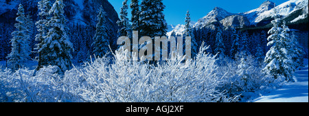 Neve invernale scena vicino al Lago Louise Rockies Parco Nazionale di Banff Alberta Canada Foto Stock