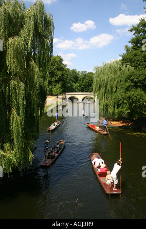 Punting sul dorso di Cambridge. Foto Stock