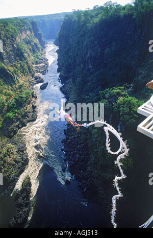 Bungee Jumping off 152 metro alto Victoria Falls ponte sopra il fiume Zambezi tra lo Zimbabwe e Zambia Foto Stock