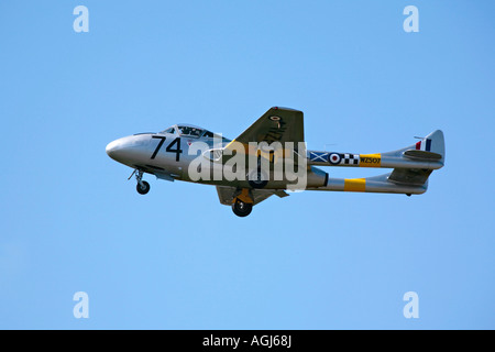 De Havilland Vampire T11 volo a Shoreham airshow, Shoreham aeroporto, West Sussex, Inghilterra, Regno Unito Foto Stock