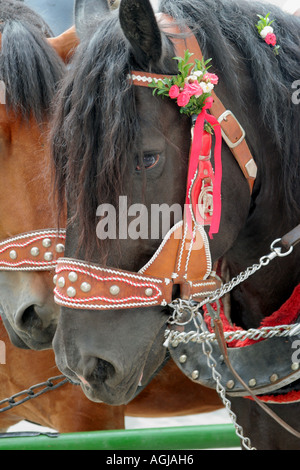 Testa di cavallo decorata Bad Toelz Baviera Germania Foto Stock