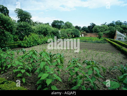 Giardini aperti a Redisham Hall in Suffolk Foto Stock