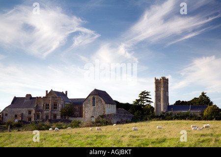 Abbazia di Muchelney e chiesa vicino Langport sui livelli di Somerset Foto Stock