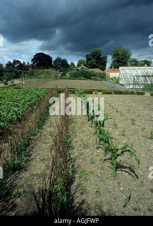 Giardini aperti a Redisham Hall in Suffolk Foto Stock