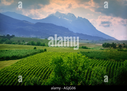 Il Gran Sasso monti si affacciano sui vigneti di queste aziende agricole nei pressi di Penne nella regione italiana Abruzzo Foto Stock