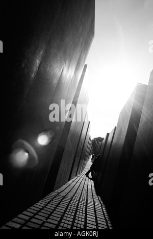 Germania, Berlino, 2007. Memoriale al assassinato ebrei di Europa Foto Stock