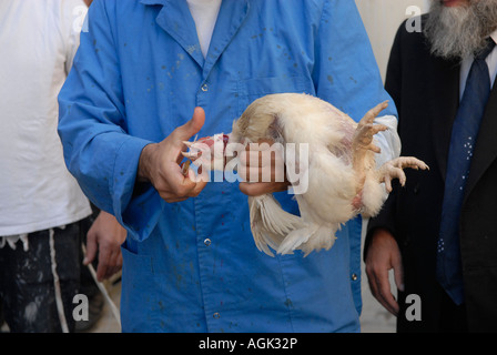 Un ebreo che macella pollo al mercato nel quartiere di Mea Shearim, un'enclave ultra-ortodossa in Israele a Gerusalemme ovest Foto Stock