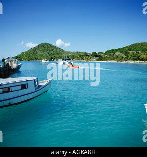 Il Petit St Vincent e Grenadine, Oceano Caraibico, West Indies Foto Stock
