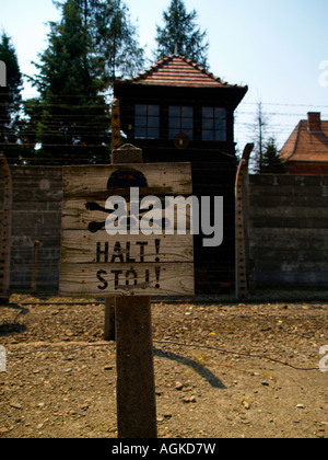 Filo spinato e 'Halt!' segno di avvertimento con Teschio e Ossa Croce al campo di concentramento di Auschwitz al di fuori di Cracovia in Polonia Foto Stock