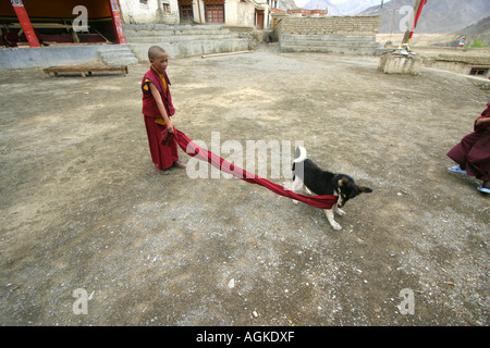 Monaco bambino che gioca con un cane in Lamayuru, Ladakh, India Foto Stock