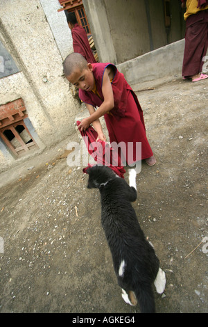 Monaco bambino che gioca con un cane in Lamayuru, Ladakh, India Foto Stock