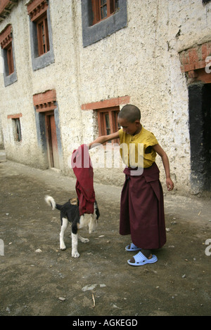 Monaco bambino che gioca con un cane in Lamayuru, Ladakh, India Foto Stock