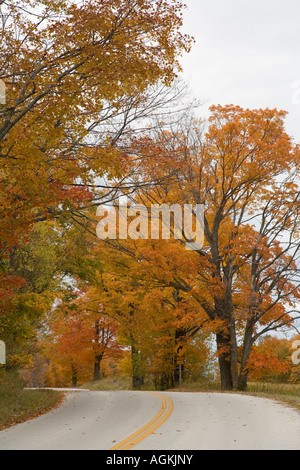 I colori dell'autunno in ottobre in Door County, WI Foto Stock