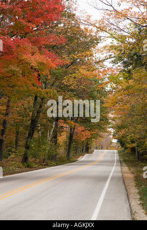 Tratto di strada appena a ovest di sbarco dei traghetti che servizi Isola di Washington (Door County) con i colori dell'autunno in ottobre. Foto Stock