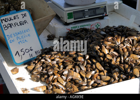 Appena sbarcati cozze in vendita su uno stallo nella Barfleur Normandia Francia Foto Stock