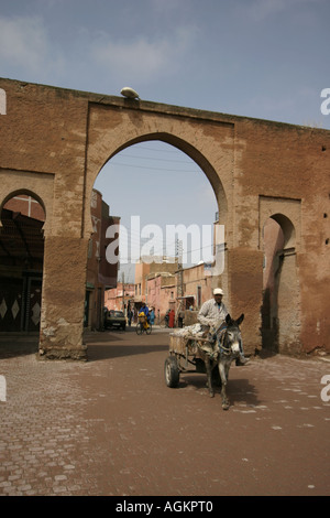 Un uomo con il suo asino nella Medina di Marrakech, Marocco Foto Stock