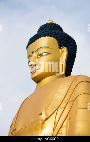 Statua dorata buddha park. Amida buddha park. Stupa Swayambhu, Kathmandu, Nepal Foto Stock