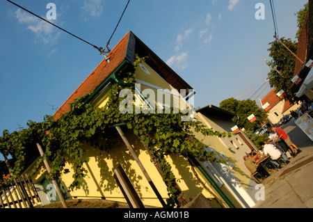 La Bassa Austria, Roeschitz, corsia di cantine Foto Stock