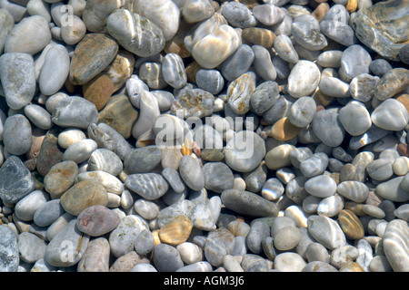 Ciottoli visto attraverso acqua limpida. Foto Stock