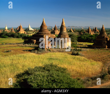 Myanmar Birmania Bagan vecchio pagana Bagan Zona archeologica di antichi templi e pagode nella luce della sera Foto Stock
