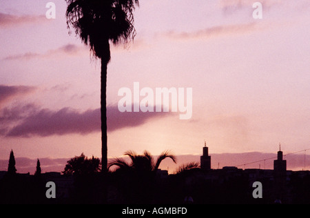 Tramonto in scena a Marrakech Marrakech in Marocco nel Maghreb in Nord Africa Sahara. Cielo drammatica corsa Moresco Foto Stock