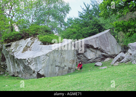The Langdale massi in Cumbria Foto Stock
