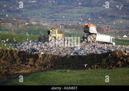 I gabbiani volteggiare dai rifiuti domestici camion sul sito di discarica in Cotswolds sito Wingmoor Cory Environmental REGNO UNITO