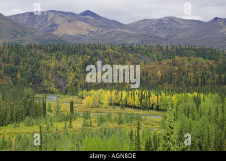 Un afflusso di nenana il fiume e le montagne dell'Alaska Range autostrada denali alaska usa Foto Stock