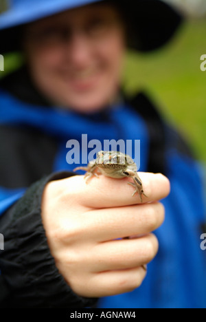 Donna che mantiene un nord di Leopard Frog Rana pipiens chiamato anche il prato o erba Rana Foto Stock