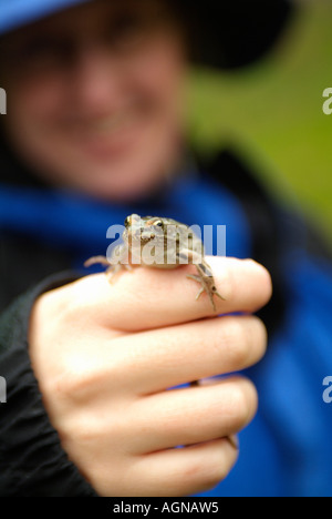 Donna che mantiene un nord di Leopard Frog Rana pipiens chiamato anche il prato o erba Rana Foto Stock