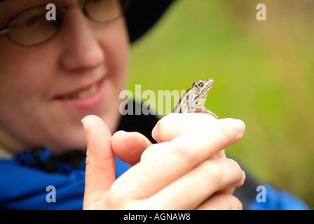 Donna che mantiene un nord di Leopard Frog Rana pipiens chiamato anche il prato o erba Rana Foto Stock