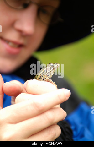 Donna che mantiene un nord di Leopard Frog Rana pipiens chiamato anche il prato o erba Rana Foto Stock