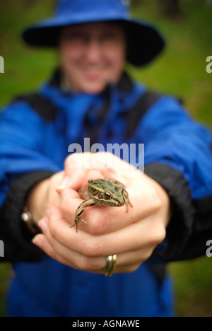 Donna che mantiene un nord di Leopard Frog Rana pipiens chiamato anche il prato o erba Rana Foto Stock