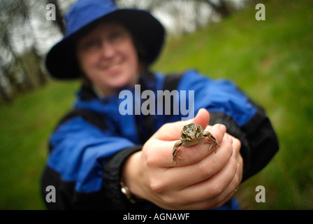 Donna che mantiene un nord di Leopard Frog Rana pipiens chiamato anche il prato o erba Rana Foto Stock